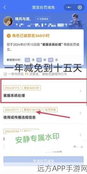 王者荣耀禁言解除全攻略,迅速恢复游戏内交流特权,重返战场畅聊无阻