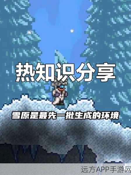 泰拉瑞亚顶尖套装揭秘，获取攻略与实战技巧大公开