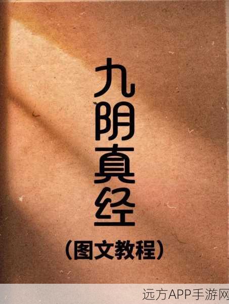 九阴真经武当派易容下山全攻略，解锁江湖新篇章