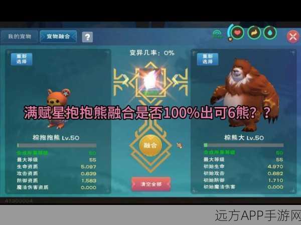手游攻略,解锁创造与魔法粉抱抱熊进阶石,高效获取秘籍大公开