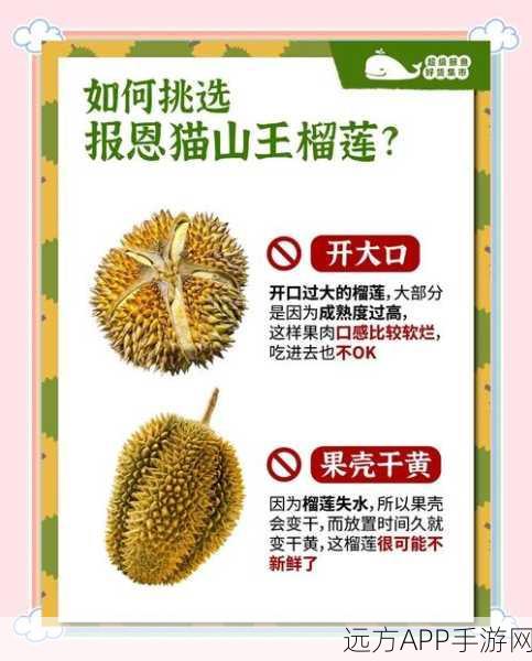 榴莲控必玩!报恩榴莲三消挑战赛,趣味消除赢大奖