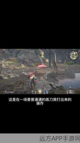 永劫无间,双人练刀精髓揭秘,刀房战术与协作艺术深度解读