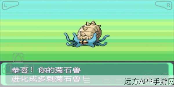 宝可梦探险寻宝,揭秘菊石兽高效培育食谱与攻略秘籍