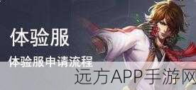 王者荣耀健康系统取消攻略,全面解析与注意事项