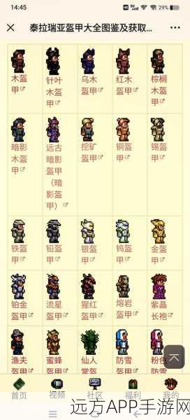 泰拉瑞亚探险必备，揭秘甲虫套装奖励效果与获取攻略