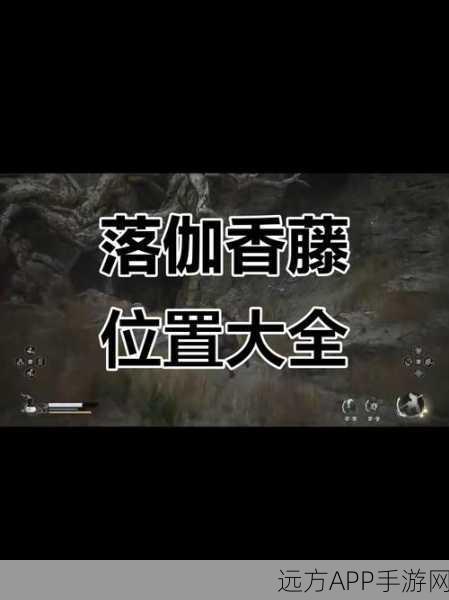 黑神话悟空,深入探索落伽香藤的寻觅与收集全攻略