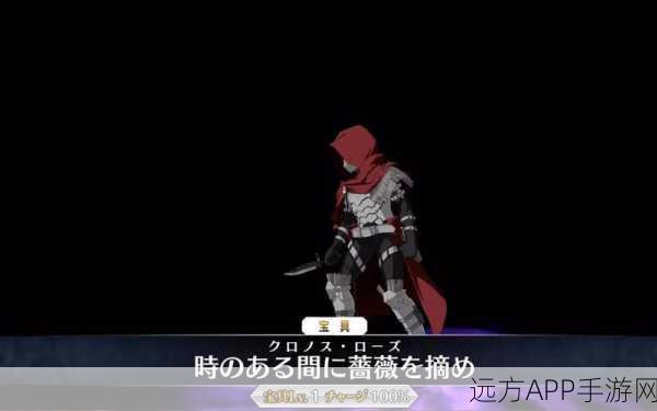 FGO深度攻略，揭秘卫宫切嗣宝具本强化效果，助你战场称雄！