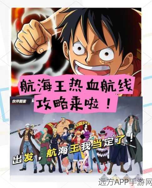 航海王热血航线，个人商店全面升级秘籍，解锁财富与资源新高度