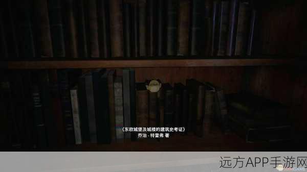 生化危机8,河畔宝库全攻略,揭秘宝藏解锁步骤与隐藏彩蛋