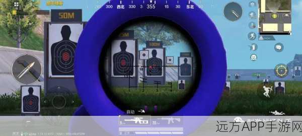 VSS狙击步枪在和平精英高端局中的精准定位与战术布局揭秘