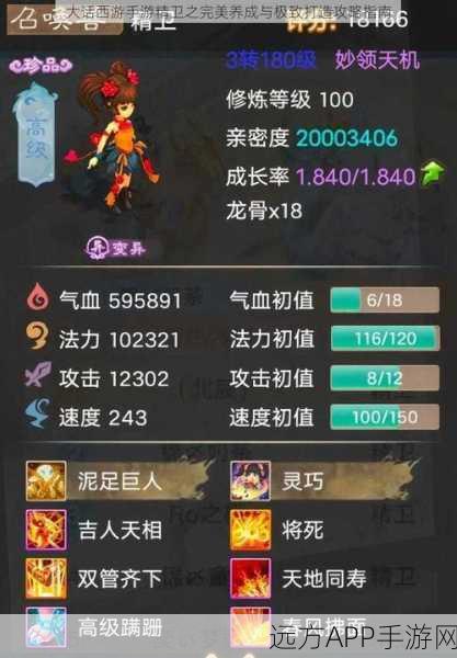 大话西游手游,小伙伴角色深度解析与实战培养攻略