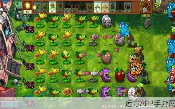 解锁植物大战僵尸2大浪海滩大嘴花,攻略秘籍大公开