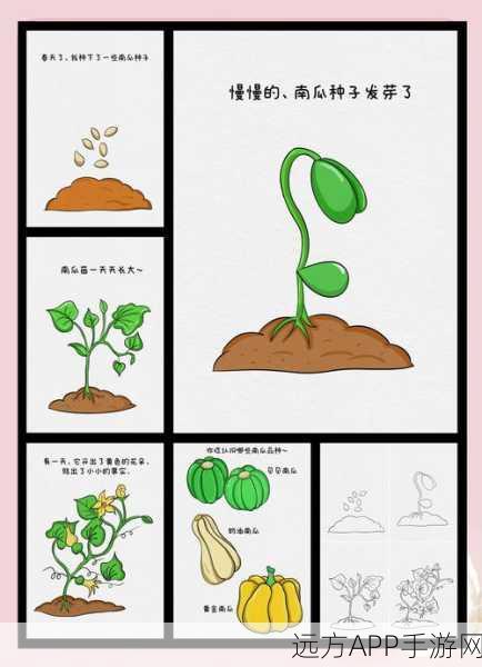 我的世界iPad版,揭秘南瓜梗的丰收之谜,南瓜生长次数全解析