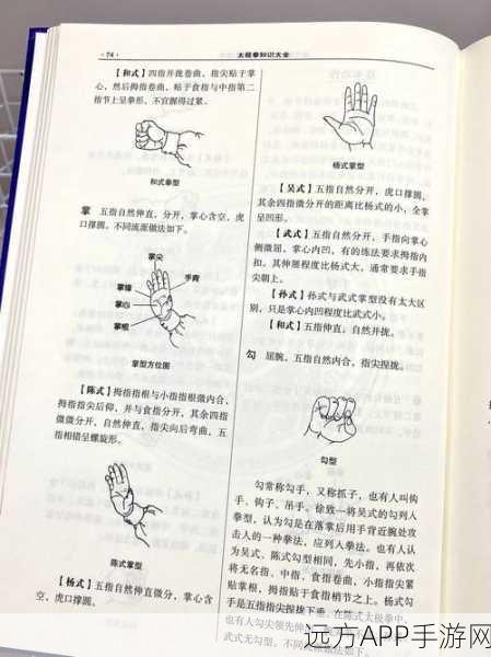 太极拳大师养成记,九阴真经手游太极拳深度攻略