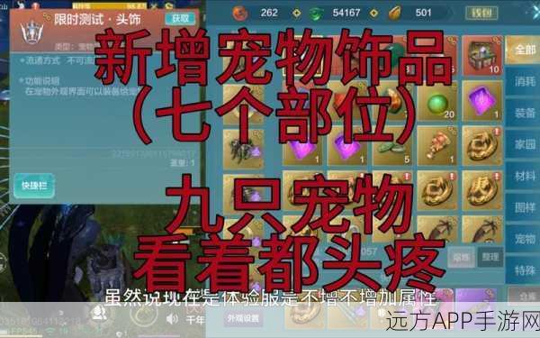 妄想山海宠物冲榜战，揭秘冠军宠物必备技能与策略