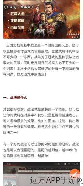 三国志战略版深度攻略，解锁高级武将秘籍，资源优化策略助你称霸三国！