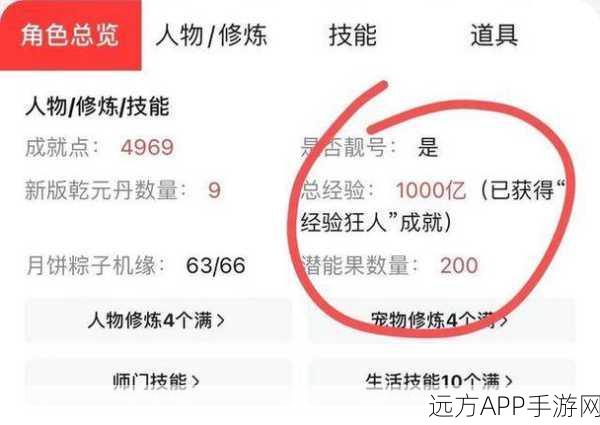 梦幻西游手游,门派经脉调整深度攻略,助你实战称霸