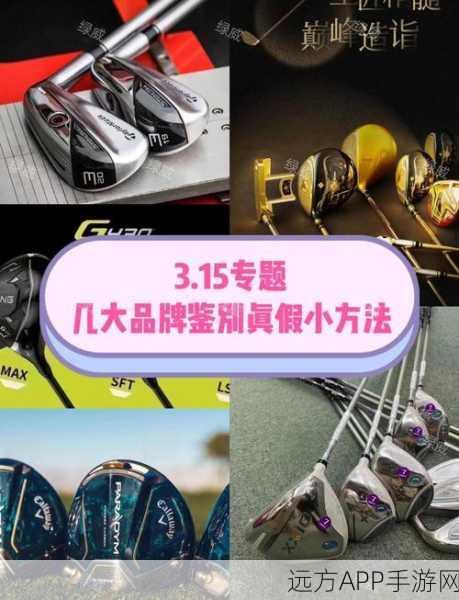 泰拉瑞亚高尔夫锦标赛,揭秘冠军球杆远近之谜,技术与装备的极致融合