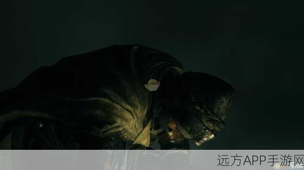 艾尔登法环探秘，揭秘黑夜彗星神秘位置与获取攻略