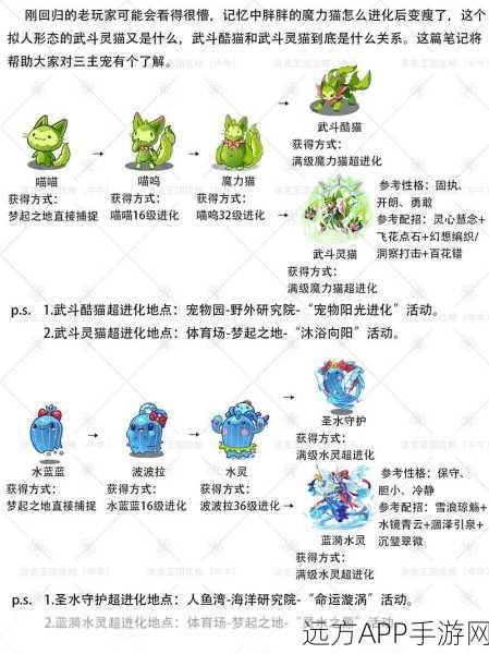 洛克王国,小塔塔进化全攻略,解锁成长秘籍与竞技优势