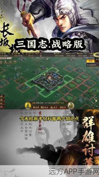 三国志战略版深度解析，分城建设全攻略，打造你的霸业版图