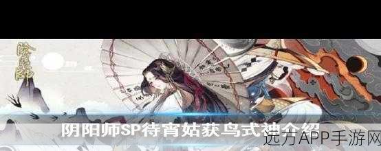 阴阳师SP姑获鸟，顶尖阵容搭配与实战玩法全揭秘