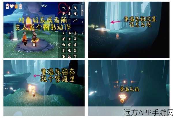 光遇万圣节,解锁神秘暗号的全面攻略与惊喜揭秘