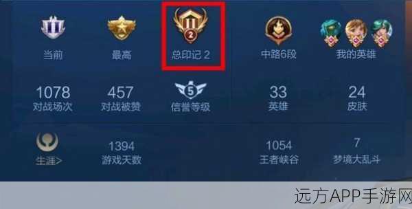 王者荣耀深度解析，王者印记系统全攻略与比赛细节揭秘