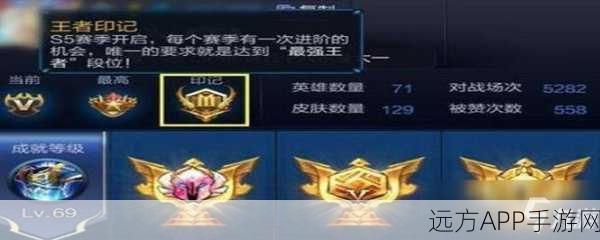 王者荣耀深度解析,王者印记系统全攻略与比赛细节揭秘