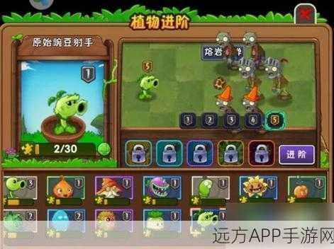 植物大战僵尸2，高效攻略！揭秘植物快速升级秘籍