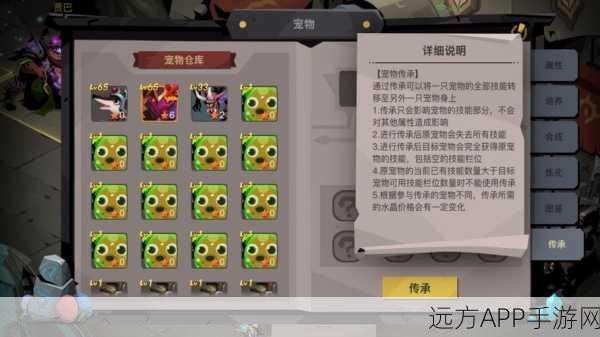 贪婪洞窟2，宠物属性全解锁，探险之旅战力飙升秘籍