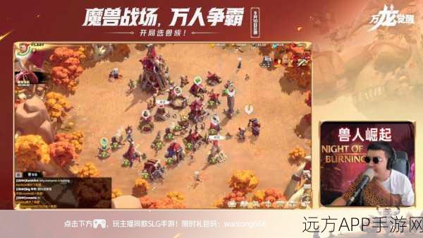 万龙觉醒,揭秘驮马的强大功能与获取攻略