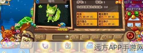 洛克王国电猫养成攻略，独家揭秘电猫成长秘籍与培育大赛细节