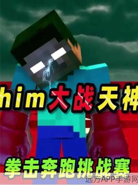 揭秘我的世界HIM神秘身份,玩家热议与官方暗示的深度解析
