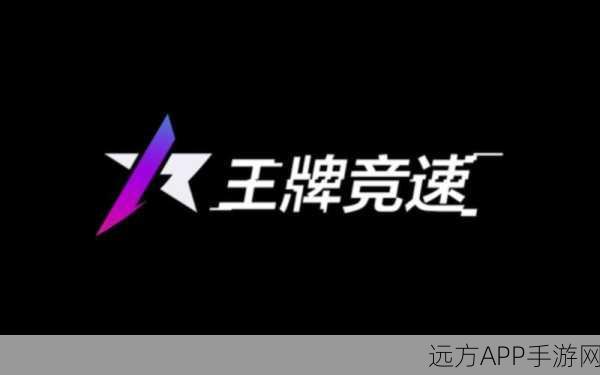 王牌竞速赛旗，引领赛道风潮，竞技精神的独特展现