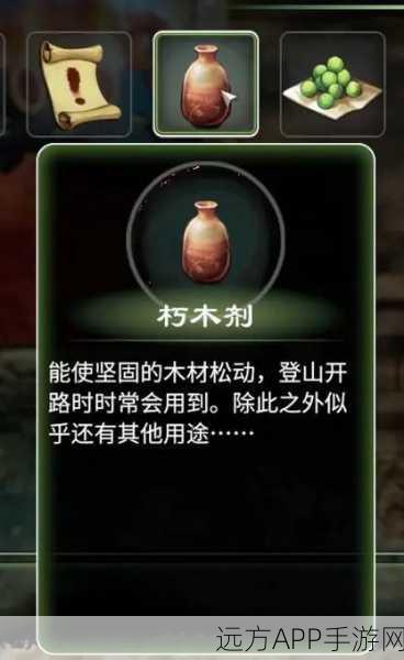 天命奇御，揭秘法空小偷前置任务的神秘面纱