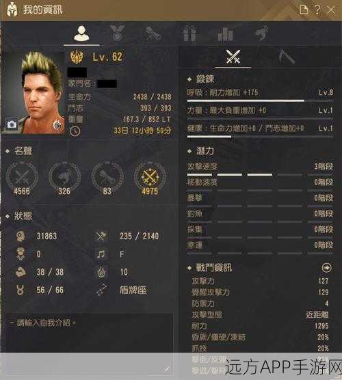 黑色沙漠手游，全面攻略，解锁同伴行者获取秘籍