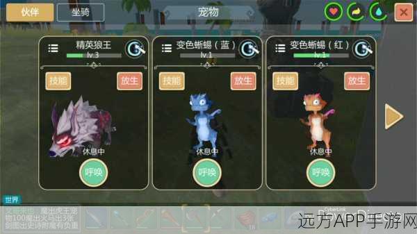 手游揭秘，创造与魔法沙漠狼王极品资质全解析及竞技攻略