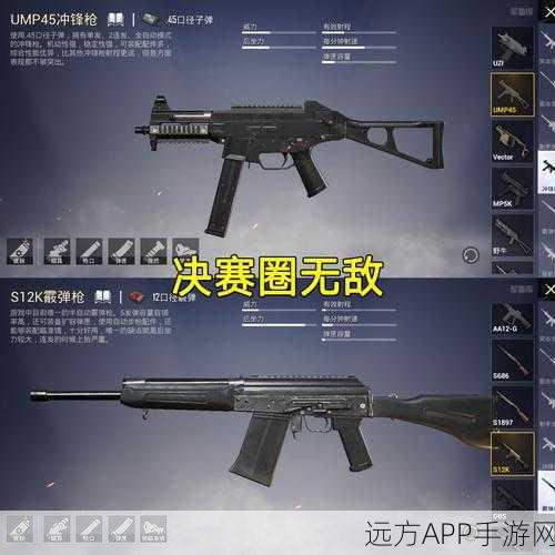 和平精英近战枪王争霸赛，揭秘顶尖玩家近战首选武器与战术布局