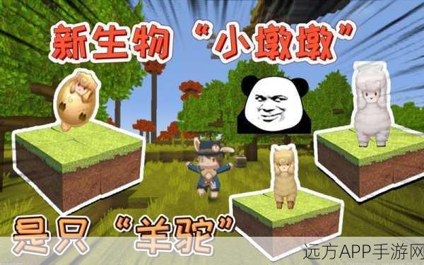 迷你世界驯兽大师，猪牛羊驼全攻略，解锁隐藏技能与趣味竞赛