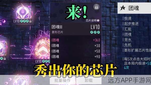 王牌竞速深度解析,账号密码与ID的奥秘,揭秘竞速赛场细节