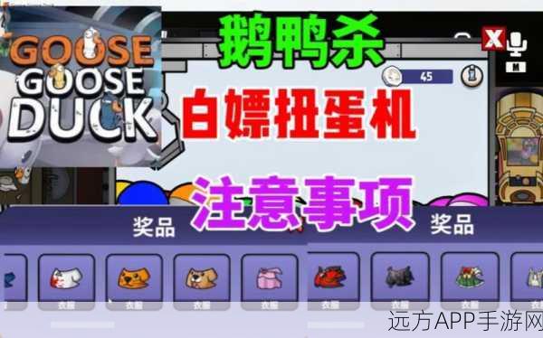 鹅鸭杀扭蛋机全攻略，揭秘位置、抽奖技巧及丰富奖品