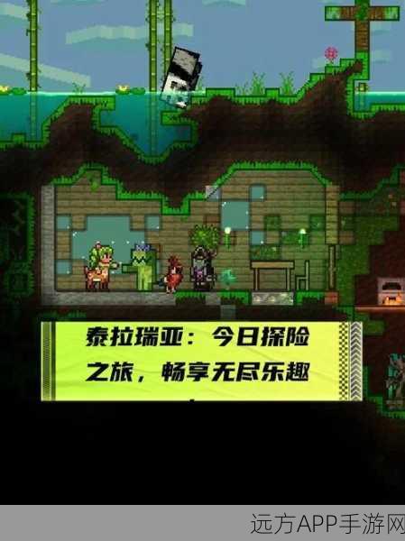 泰拉瑞亚圣骑士挑战赛，追踪神秘行踪，解锁隐藏宝藏
