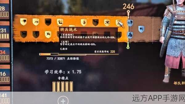 有杀气童话2前期骑士加点秘籍，技能属性深度剖析与实战策略