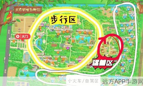 动物园之星,揭秘动物吸引力数值,打造梦幻乐园秘籍
