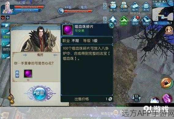 诛仙手游深度探索，揭秘未知领域，解锁独家隐藏支线任务攻略
