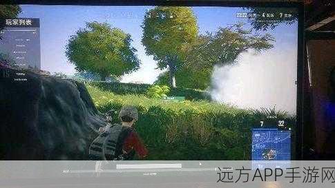 绝地求生绿色闪屏终结者，详解修复方案与竞技优化策略