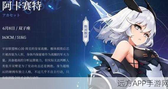 阿卡赛特技能全揭秘，灵魂潮汐中的绝对数律王者