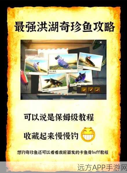 幻想神域钓鱼大赛攻略，揭秘珍稀鱼类捕获秘籍