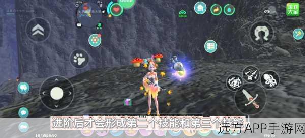 创造与魔法松鼠进阶石获取攻略，解锁宠物新形态的秘诀